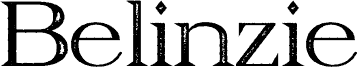 Belinzie Stamp Demo Regular