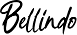 Bellindo Regular