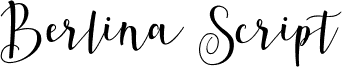 Berlina Script  Personal Use Rg