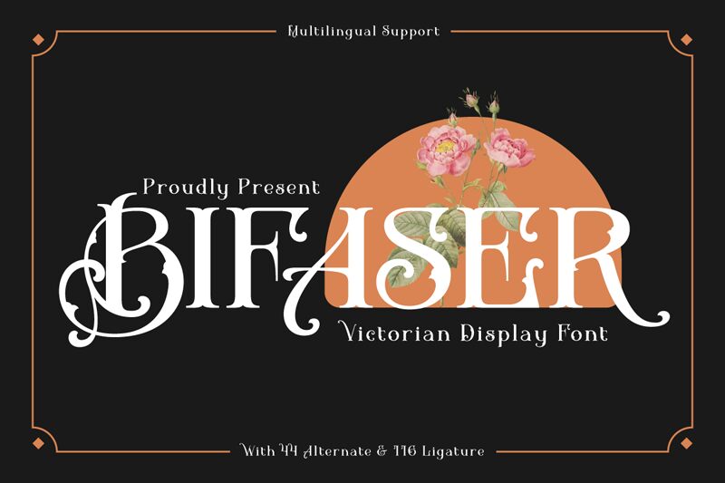 BIFASER Schriftart