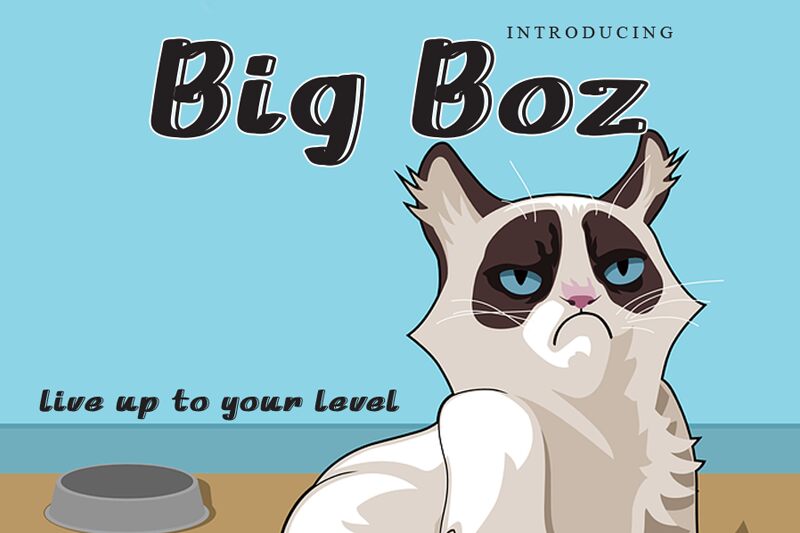 Big Boz Font