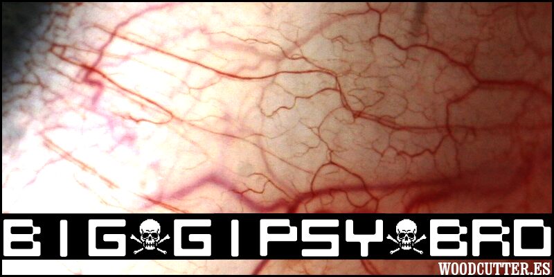 BIG_GIPSY_BRO 字体展示与视觉样张