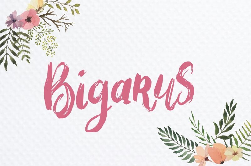 Bigarus Schriftart