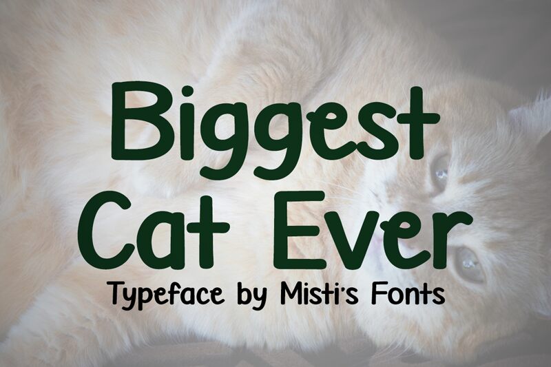Biggest Cat Ever Schriftart