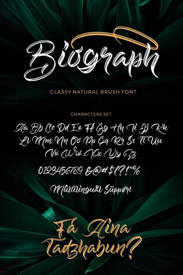 Biograph Schriftart