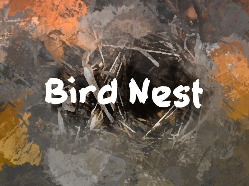 b Bird Nest Schriftart