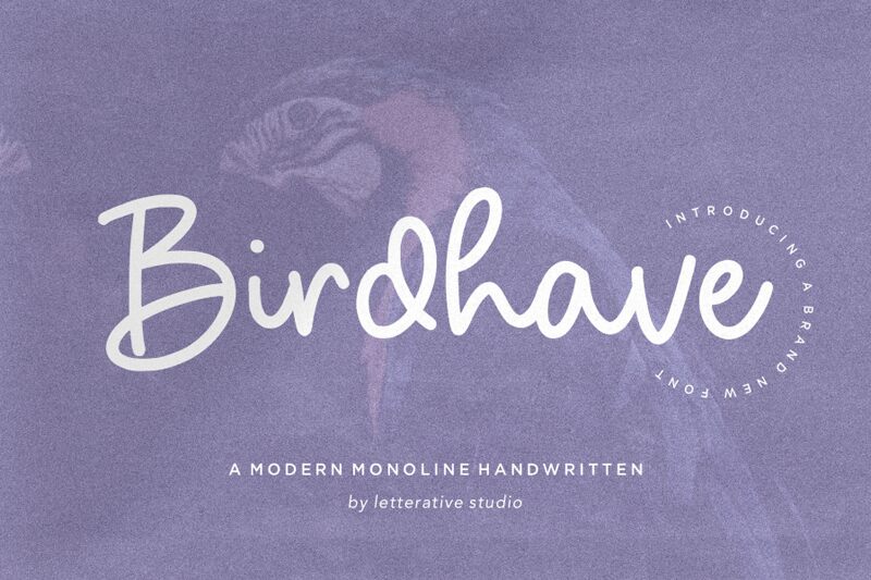 Birdhave Шрифт