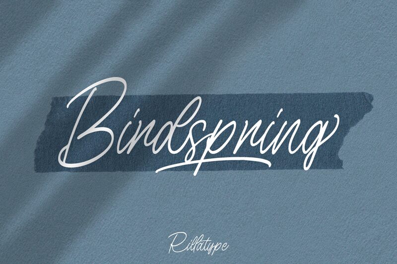 Birdspring Signature Czcionka