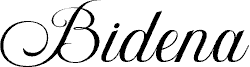 Bidena trial Regular