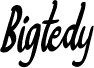Bigtedy