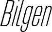 Bilgen Demo Light Right