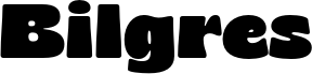 BilgresDEMO-Regular