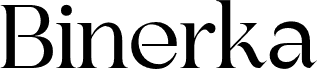 BinerkaDemo