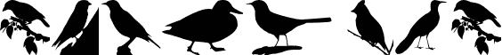 Birds TFB