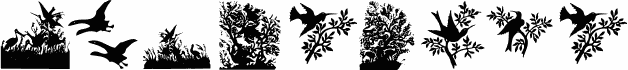 BirdsCuts