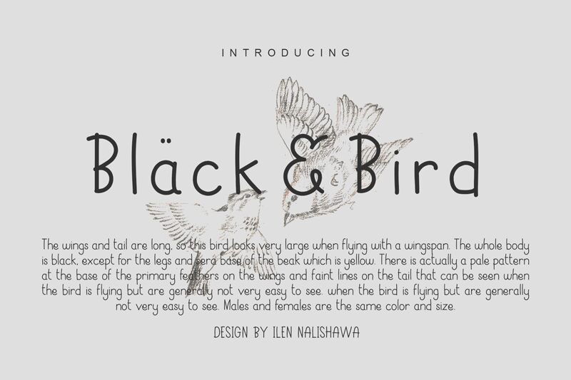 Black Bird Schriftart
