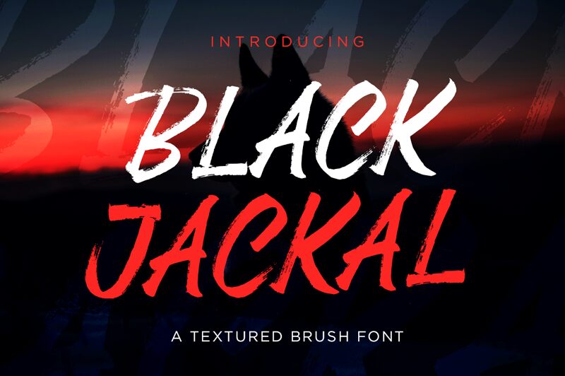 Black Jackal Fonte