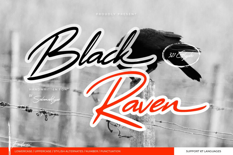 Black Raven Police