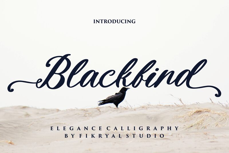 Blackbird Carattere