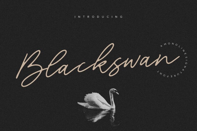 Blackswan الخط