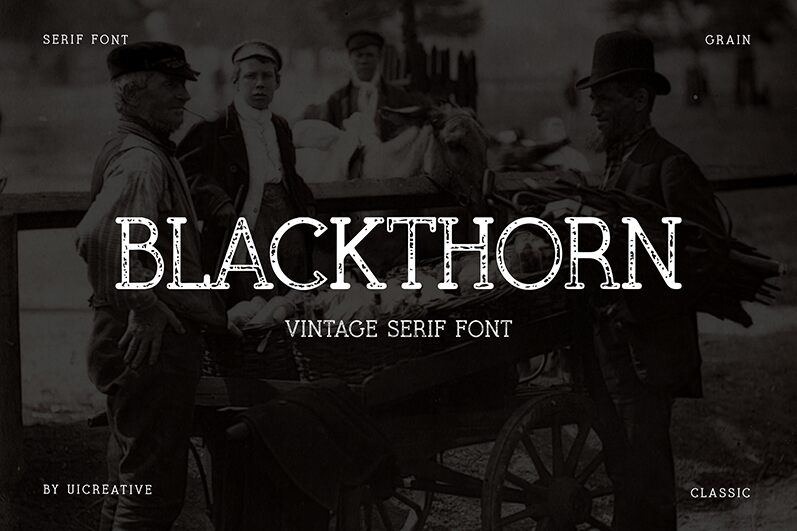 BlackthornScriptTypeface Czcionka