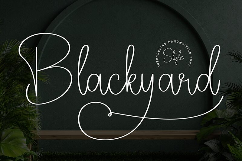 Blackyard Fuente