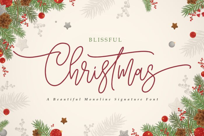 Blissful Christmas Carattere
