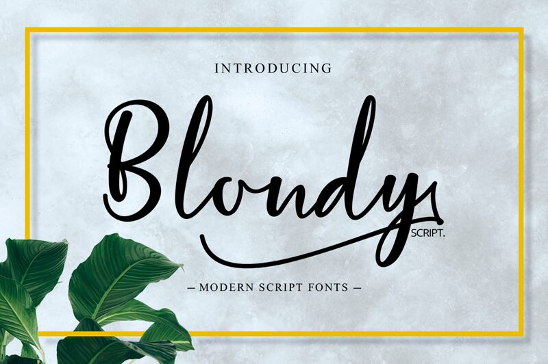 Blondy Druh písma
