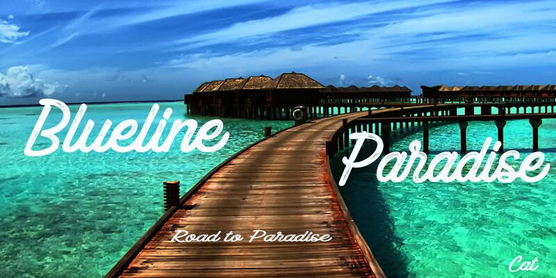 Blueline Paradise Carattere
