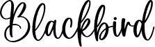 Blackbird