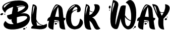 BlackWayPersonalUse