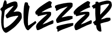 Blezer Regular
