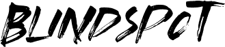 Blindspot