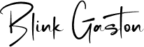 Blink Gaston PERSONAL USE Regular