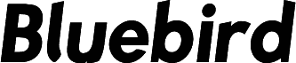 Bluebird SFBold Narrow Oblique