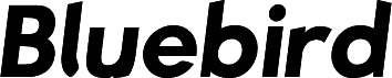 Bluebird SFBold Oblique