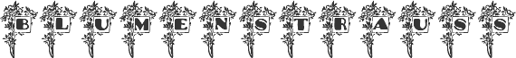 Blumenstrauss Caps