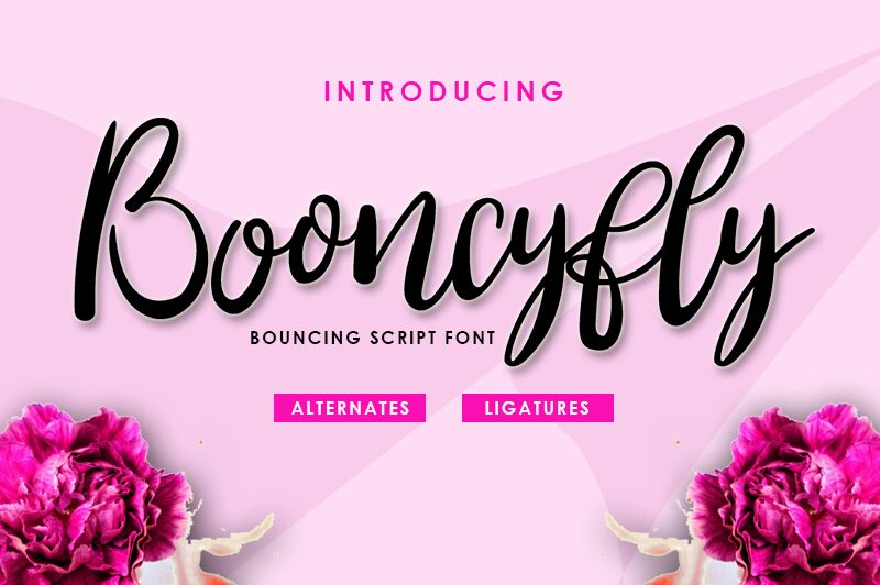 Booncyfly Schriftart
