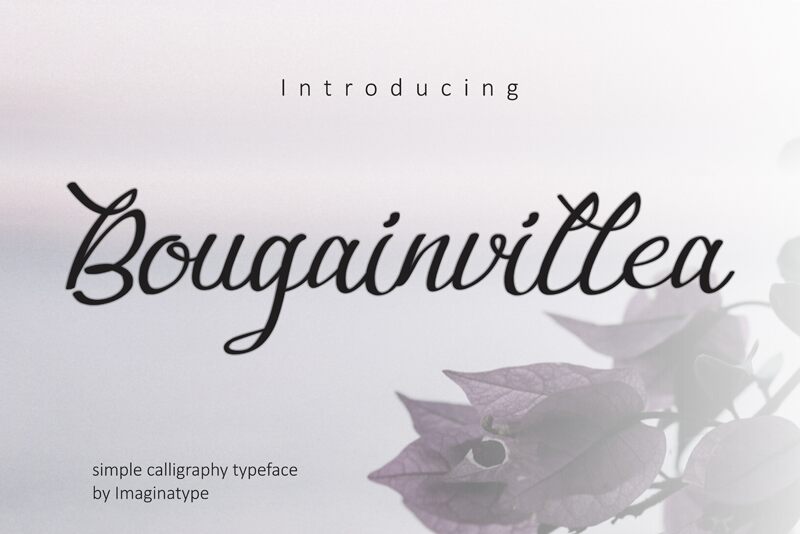 Bougainvillea 字体