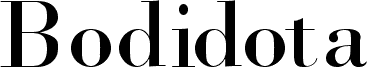 Bodidota