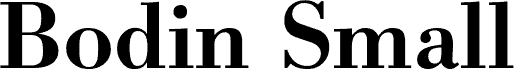 BodinSmall Bold