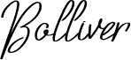 Bolliver Demo