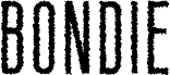 Bondie Rough Demo Regular