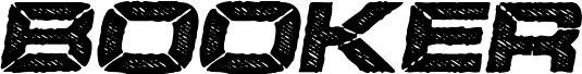 BOOKER ITALIC PERSONAL USE Bold Italic