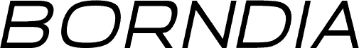 Borndia Bold Italic carattere
