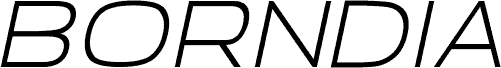 Borndia Italic Italic