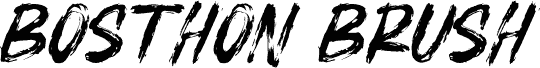 BOSTHON BRUSH