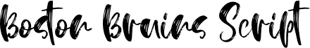 BostonBruins script font duo Regular