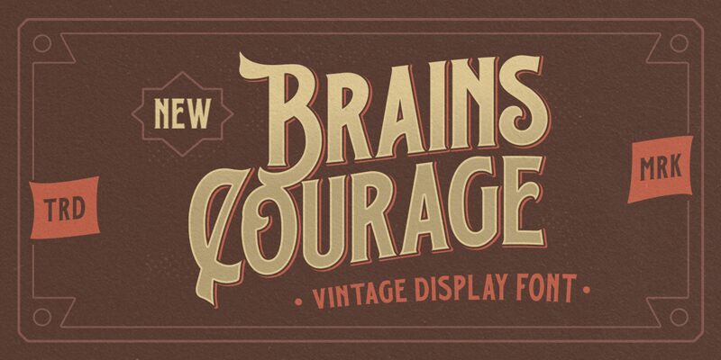 Brains Courage Carattere