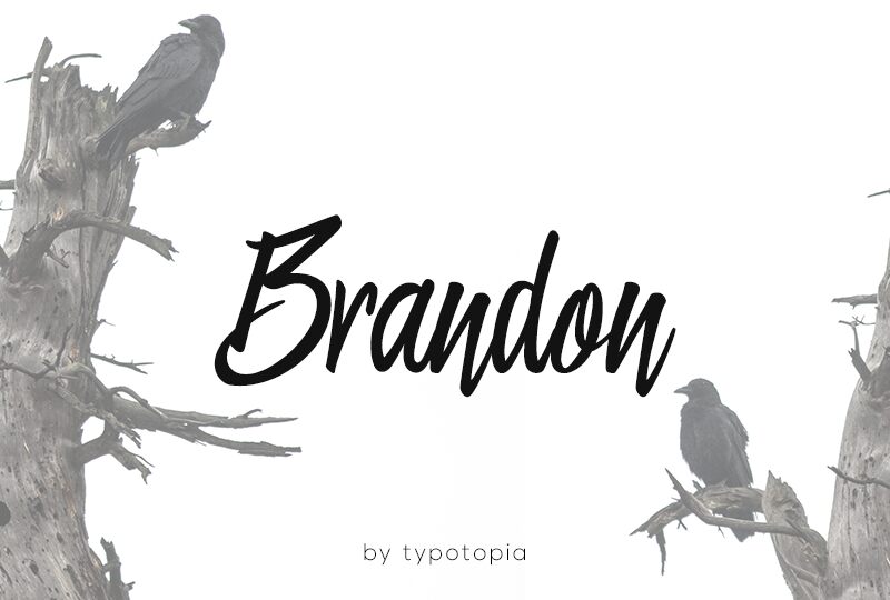 Brandon Regular fonte Fonts2u